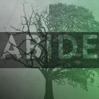 Abide in Christ - Committed to Fruitfulness
