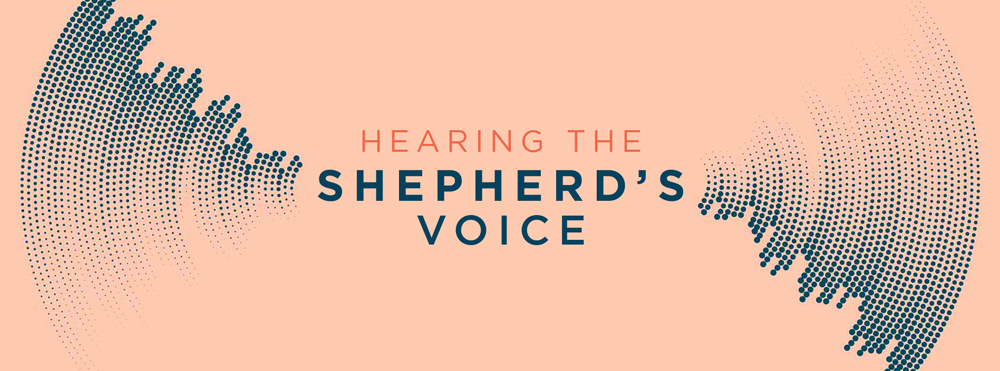 Hearing-the-shepherds-voice-se