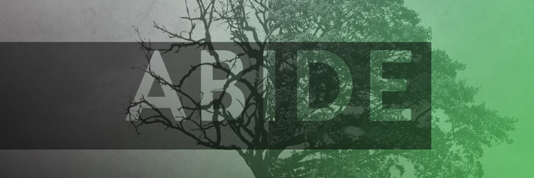 Abide-banner